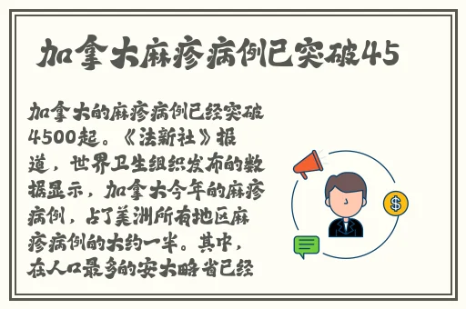 国产精品大神在线播放
